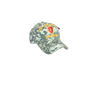 25TH INFANTRY DIV