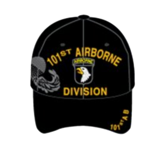 101ST AIRBORNE DIV