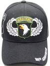 101st Airborne Wing