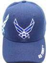 Air Force Wing