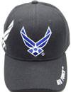 Air Force Wing
