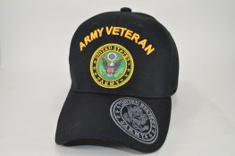 ARMY VETERAN ARCHED