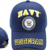 NAVY VETERAN BILL