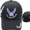 US AIR FORCE WINGS