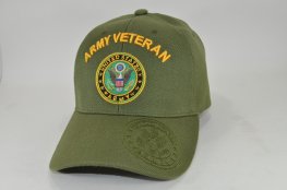 ARMY VETERAN ARCHED