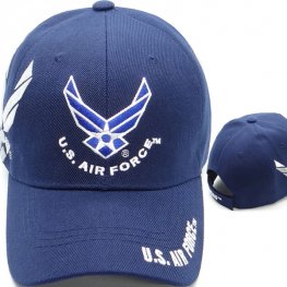 US AIR FORCE WINGS
